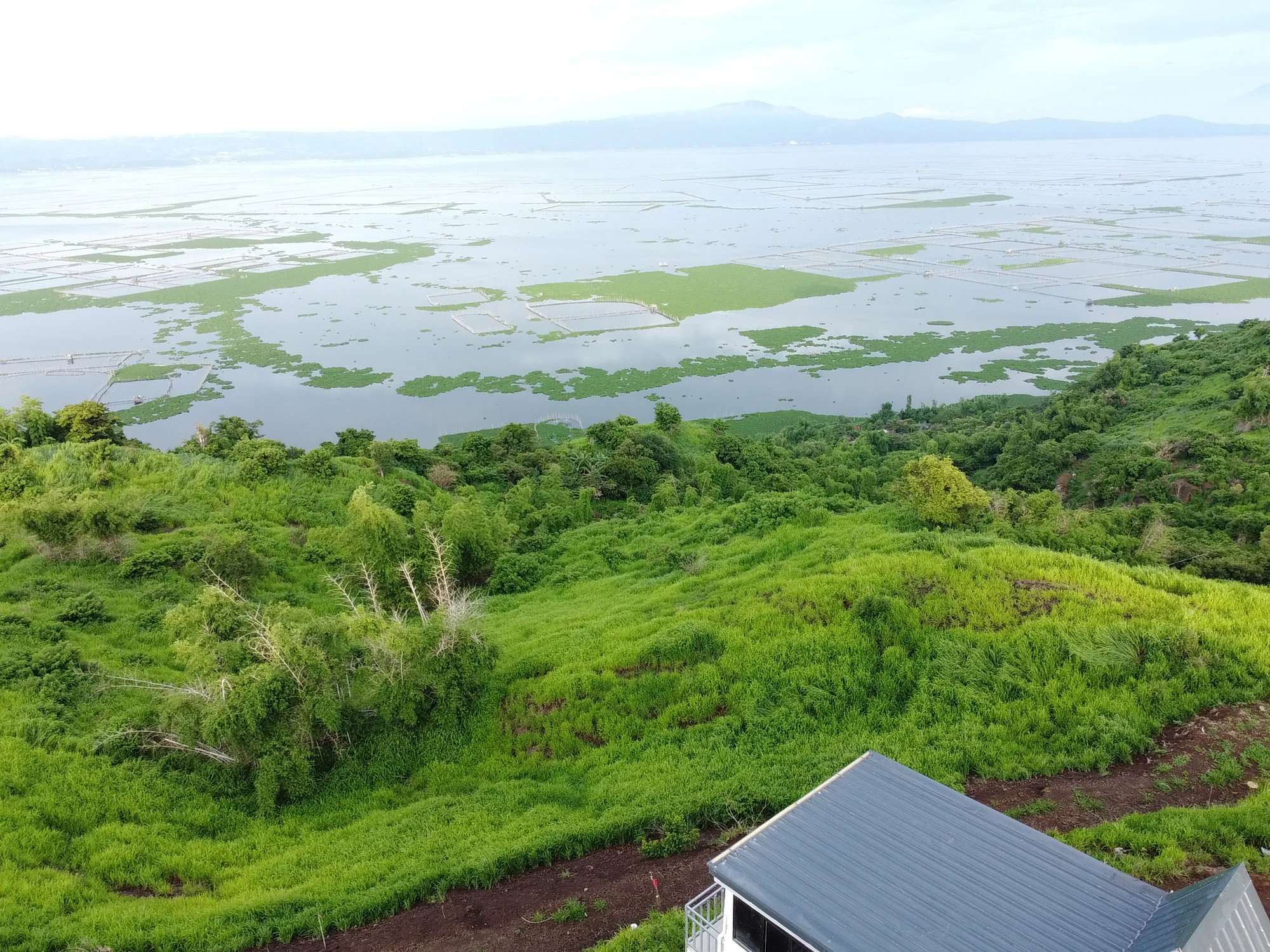 Laguna Lake and green landscape seen from the hillside at City on a Hill